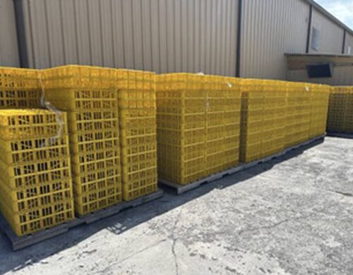 PAKSTER Poultry Transport Crate | Lost Creek Farms - Fletcher, Ohio